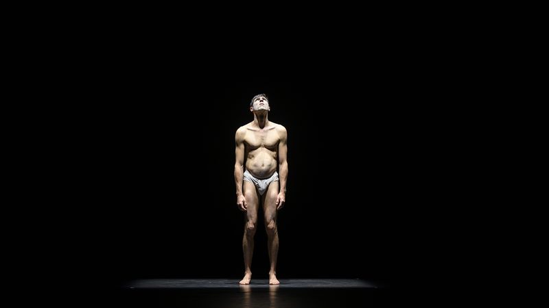 Galerie - Antoine Zivelonghi - 4 (retina)