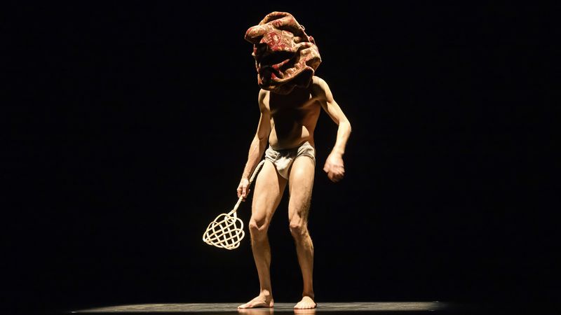 Galerie - Antoine Zivelonghi - 3 (retina)